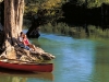tree_roots_river_couple
